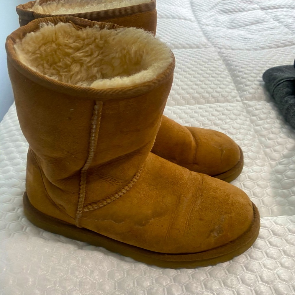 Ugg short boots
